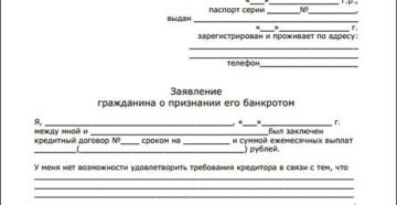 Заявление в суд о банкротстве юридического лица