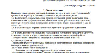 Должностная инструкция начальника отдела информационных технологий образец бланк