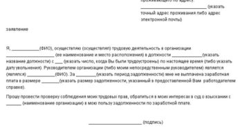 Заявление в суд о невыплате заработной платы образец бланк