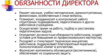 Директор по развитию должностные обязанности