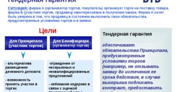 Тендерная гарантия что это