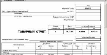 Товарный отчет образец бланк Товарный отчет образец бланк
