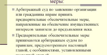 Предварительные обеспечительные меры
