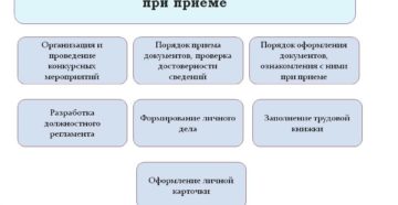 Правила оформления трудовых отношений