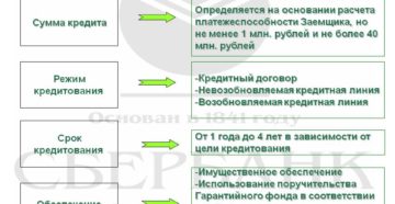 Условия займа