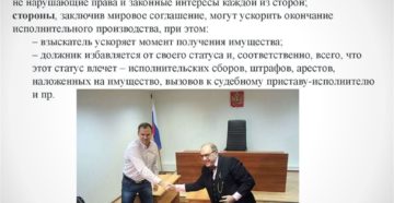 Мировое соглашение в исполнительном производстве образец бланк