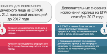 Заявление в суд об оспаривании исключения юридического лица из ЕГРЮЛ