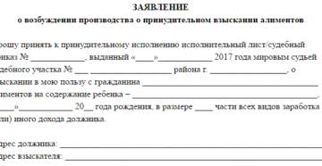 Заявление о возбуждении исполнительного производства образец бланк